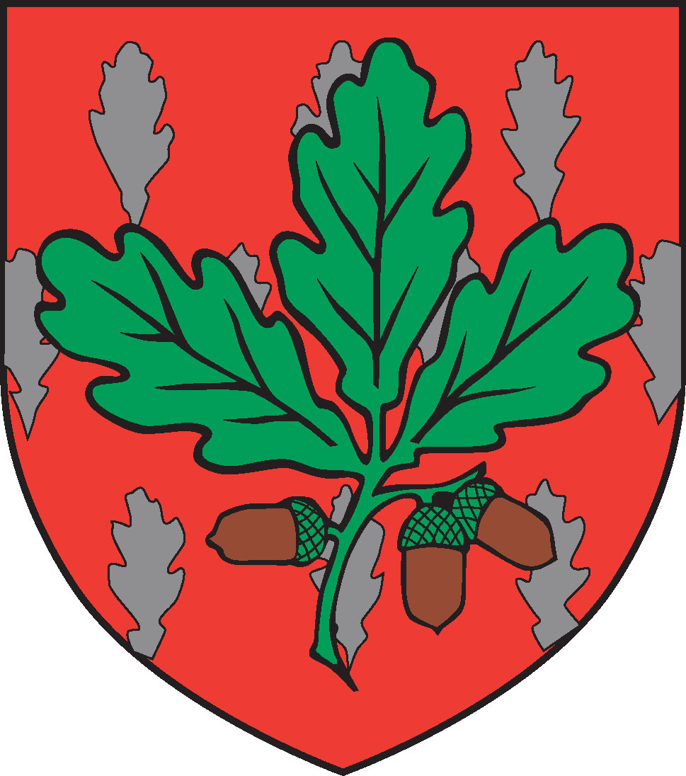 Ecusson Chêne-Bourg